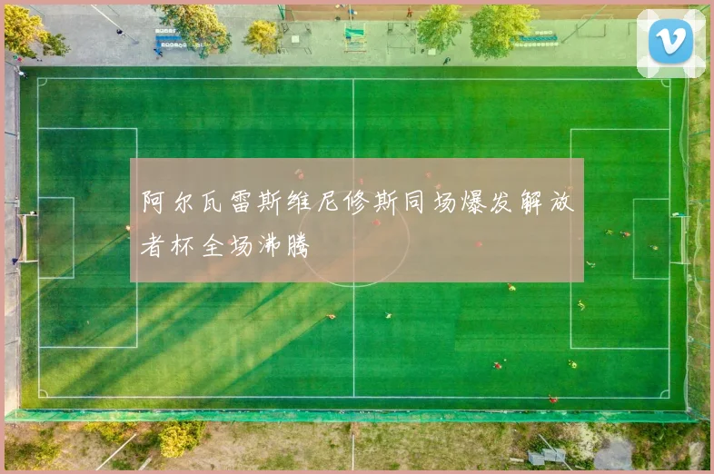 阿尔瓦雷斯维尼修斯同场爆发解放者杯全场沸腾