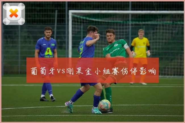 葡萄牙vs刚果金小组赛伤停影响